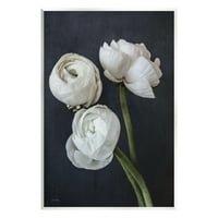Stupell Industries chic cvjetni cvjetovi ranunculus cvjetovi moderni aranžman fotografija bezbroj art art print