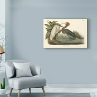 Zaštitni znak likovna umjetnost 'Crvenkasta egret' platno umjetnost Johna Jamesa Audubona