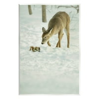 Stupell Industries jelene i vjeverice snijeg scena životinje i insekti fotografije bezbrojne umjetničke print