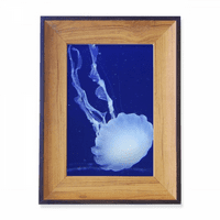 Ocean meduza znanost priroda slika slika foto okvira Izložba zaslona umjetnička radna površina slika